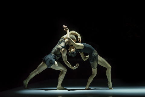 Sydney Dance Company - Accommodation VIC 0