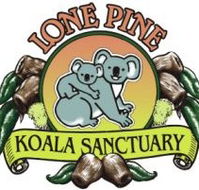 Lone Pine Koala Sanctuary - Accommodation VIC