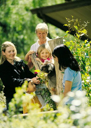 Cleland Wildlife Park - Accommodation VIC 5