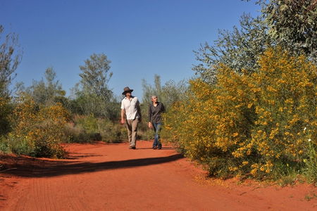 Alice Springs Desert Park - Accommodation VIC 3