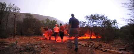 Alice Springs Desert Park - Accommodation VIC 4