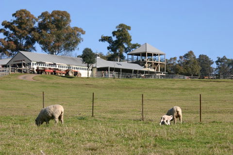 Calmsley Hill City Farm - Accommodation VIC 3