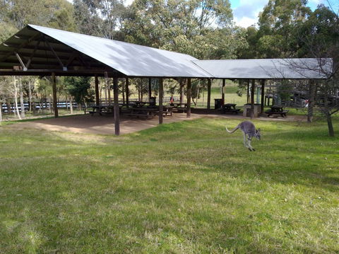 Calmsley Hill City Farm - Accommodation VIC 5