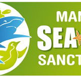 Manly SEA LIFE Sanctuary - Accommodation VIC