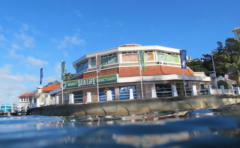 Manly SEA LIFE Sanctuary - Accommodation VIC 2