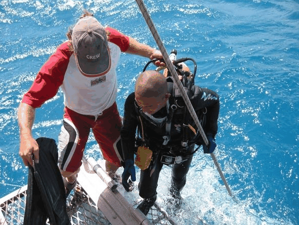 Big Cat Reality - Accommodation VIC 2