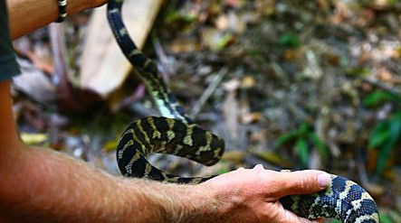Queensland Day Tours - Accommodation VIC 1