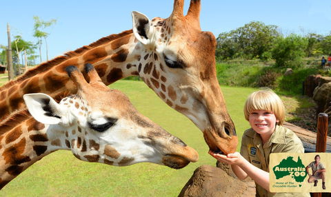 Australia Zoo - Accommodation VIC 4