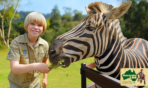 Australia Zoo - Accommodation VIC 5