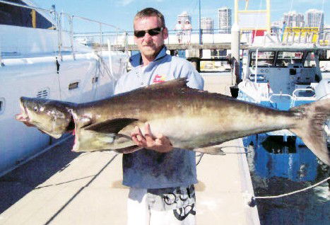 True Blue Fishing Charters - Accommodation VIC 0