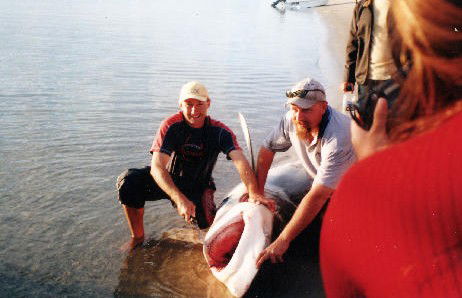 True Blue Fishing Charters - Accommodation VIC 1