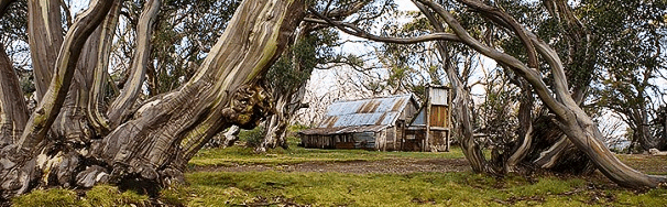 High Country Scenic Tours - Accommodation VIC