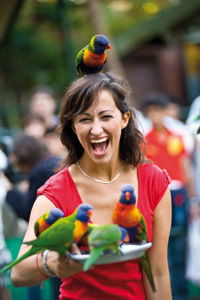 Currumbin Wildlife Sanctuary - Accommodation VIC 10