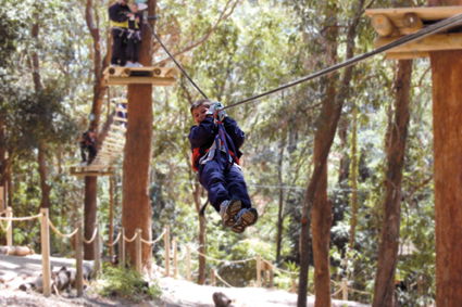 Currumbin Wildlife Sanctuary - Accommodation VIC 11