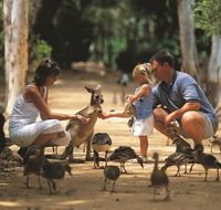 Billabong Sanctuary - Accommodation VIC