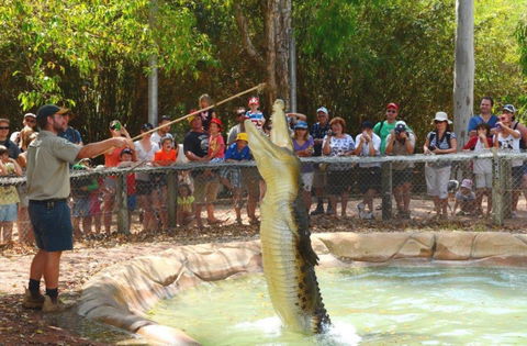 Billabong Sanctuary - Accommodation VIC 2