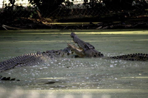 Billabong Sanctuary - Accommodation VIC 3