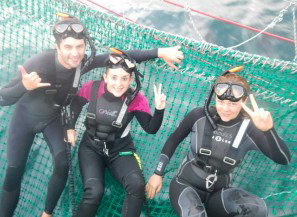 Dolphin Swim Australia - Accommodation VIC 7