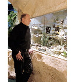 The National Opal Collection - Accommodation VIC 5