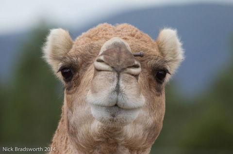 Chesterfield Farm - Accommodation VIC 5