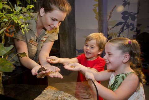 WILD LIFE Sydney Zoo - Accommodation VIC 1