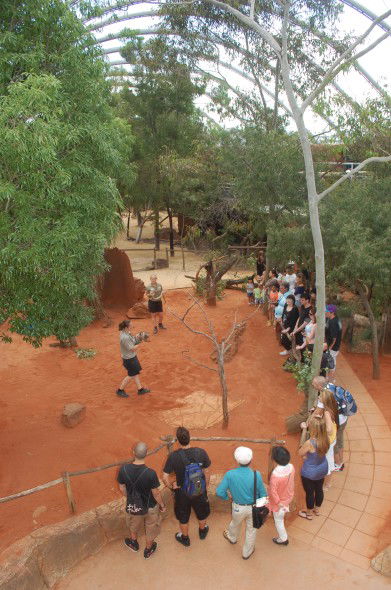 WILD LIFE Sydney Zoo - Accommodation VIC 2