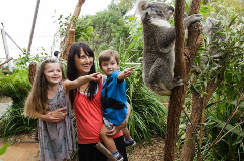 WILD LIFE Sydney Zoo - Accommodation VIC 3