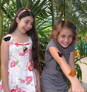 WILD LIFE Sydney Zoo - Accommodation VIC 4