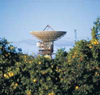 Big Dish - Accommodation VIC