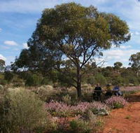 Karlkurla Bushland Park - Accommodation VIC