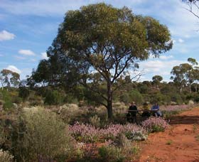 Karlkurla Bushland Park - Accommodation VIC 0