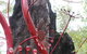 Understory Art In Nature - thumb 0
