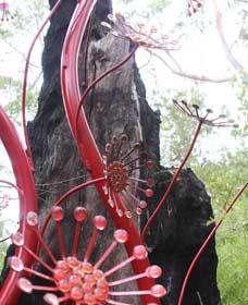 Understory Art In Nature - Accommodation VIC 0