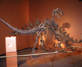 Denmark Dinosaur World - Accommodation VIC 0