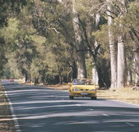 Ludlow Tuart Forest - Accommodation VIC