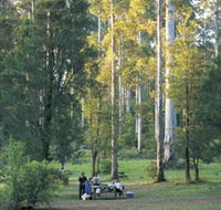 Big Brook Arboretum - Accommodation VIC
