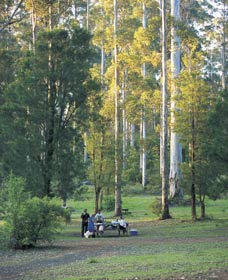Big Brook Arboretum - Accommodation VIC 0