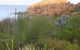 Meelup Trail - thumb 0