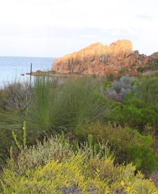 Meelup Trail - Accommodation VIC 0