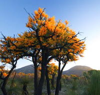 Cape Le Grand National Park - Accommodation VIC