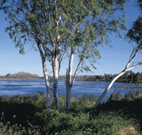 Celebrity Tree Park - Accommodation VIC
