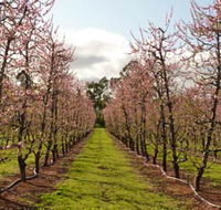 Raeburn Orchards - Accommodation VIC