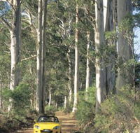 Mount Shadforth Scenic Drive - Accommodation VIC