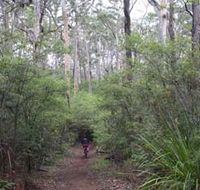 Margaret River Rails Trail - Accommodation VIC