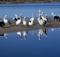 Peel Region Canoe Trails - Accommodation VIC