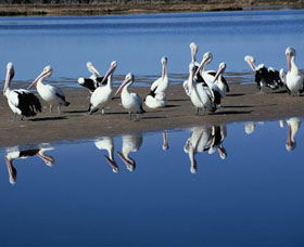 Peel Region Canoe Trails - Accommodation VIC 0