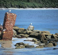 Whalers Beach - Accommodation VIC