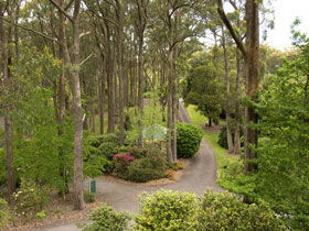 Mount Lofty Botanic Garden - Accommodation VIC 0