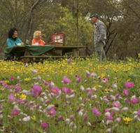 Gwambygine Park - Accommodation VIC