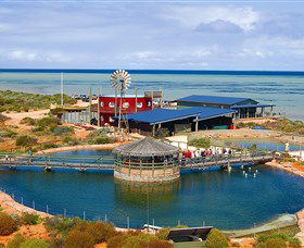 Shark Bay WA Accommodation VIC